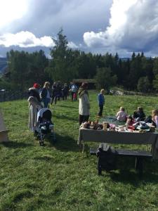 40101627_468147793685039_5964581647012593664_n